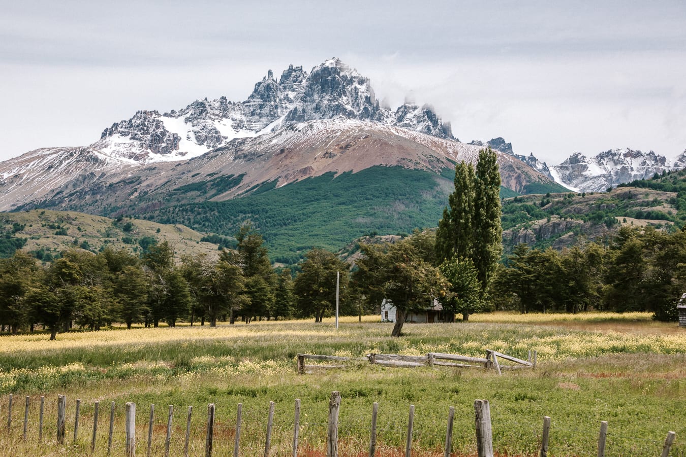 Patagonia Roam and Thrive